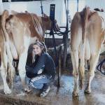 TwinBrook3-150×150 (1)